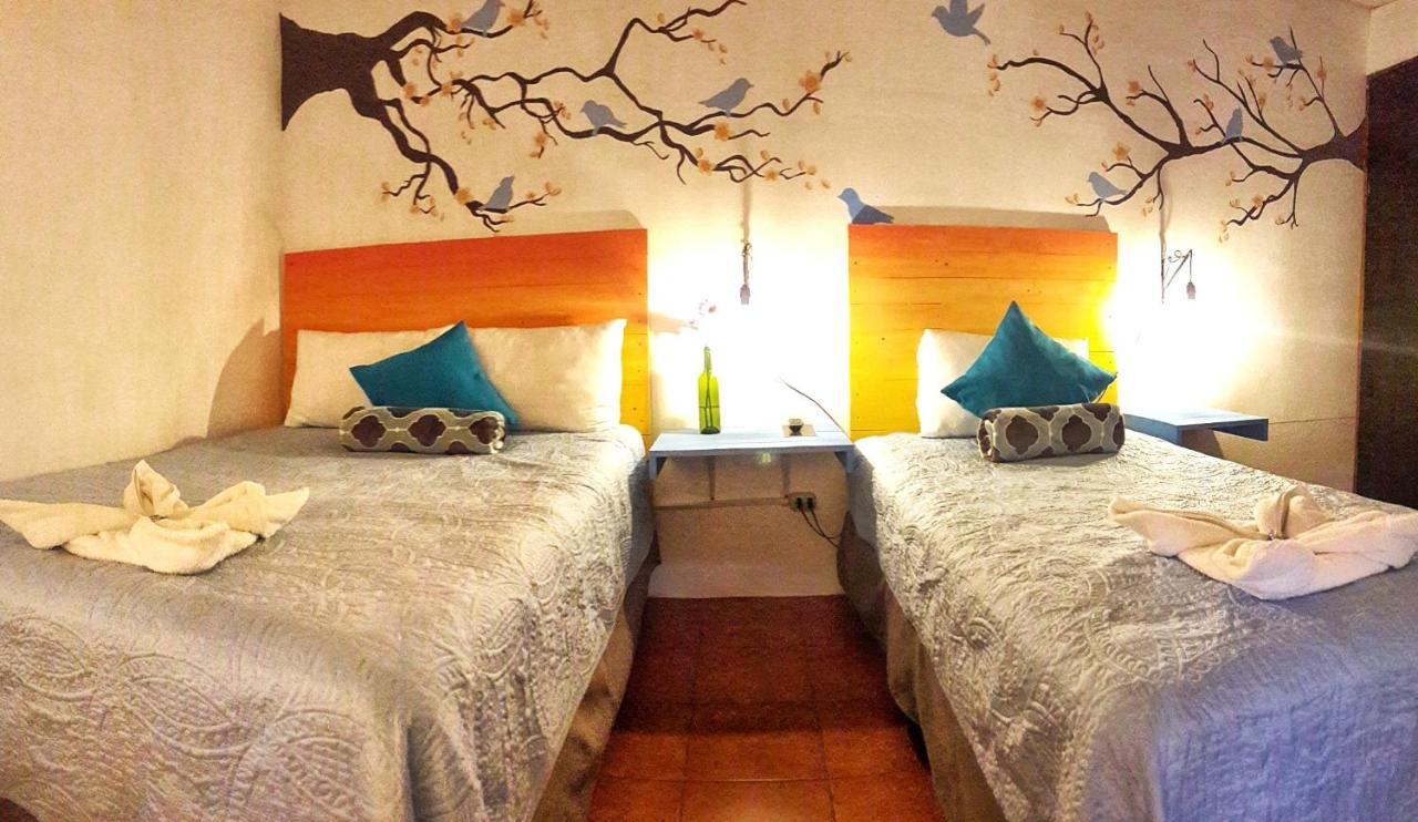 Hotel Y Arte Norte Antigua Luaran gambar